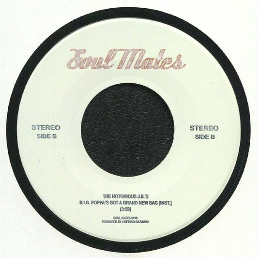 The Notorious J.B.'s – B.I.G. Poppa's Got A Brand New Bag