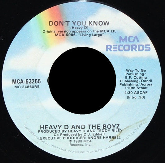 Heavy D. & The Boyz – Don't You Know / Moneyearnin' Mount Vernon (VG+)